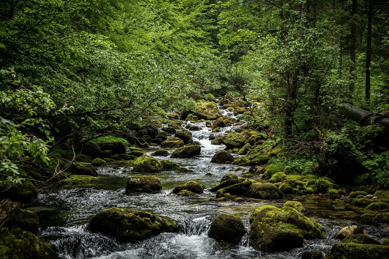 Blue Origin's 'Blue Bonus': Desperation, Not Generosity